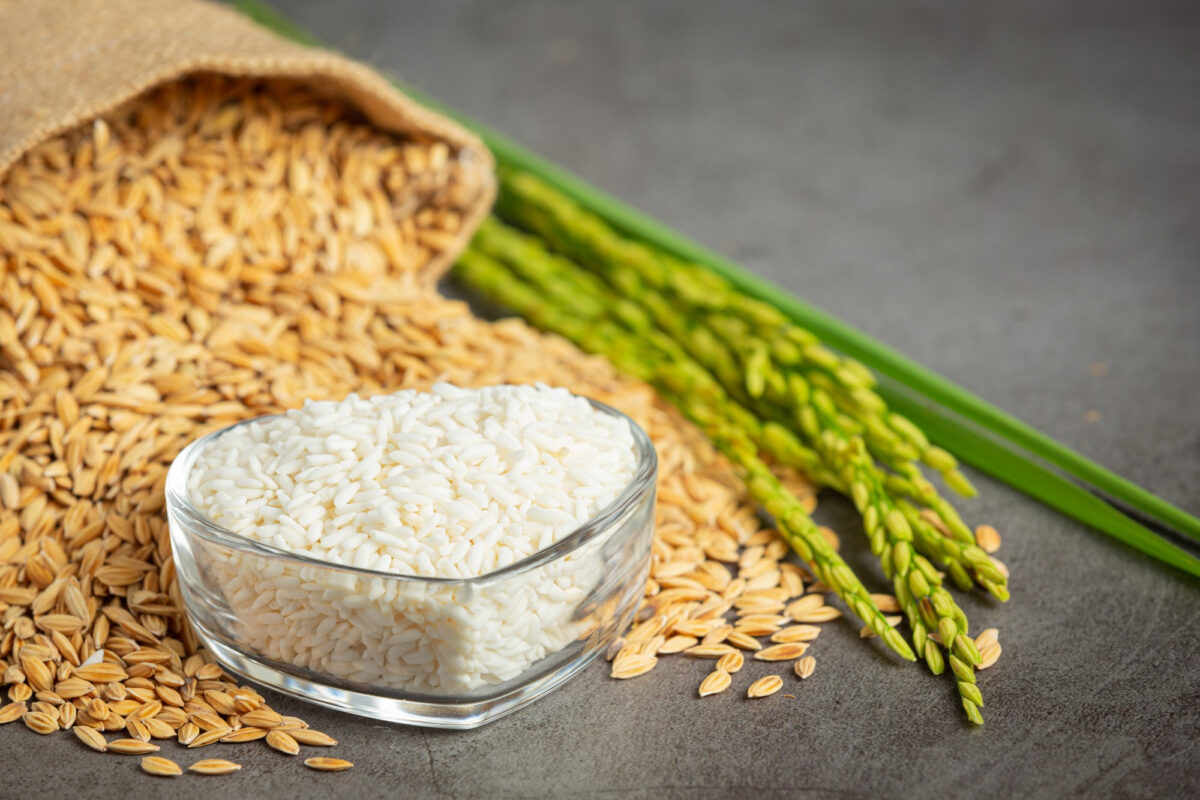 rice01